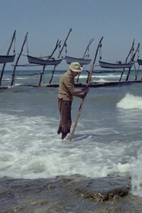 Barva spomina (1967)