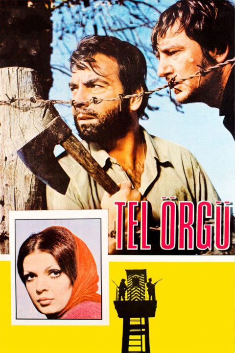 Tel Örgü (1969)