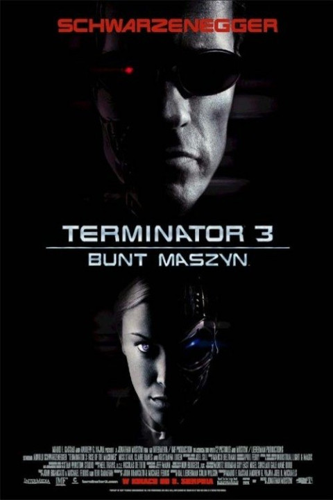 Terminator 3. Bunt maszyn (2003)