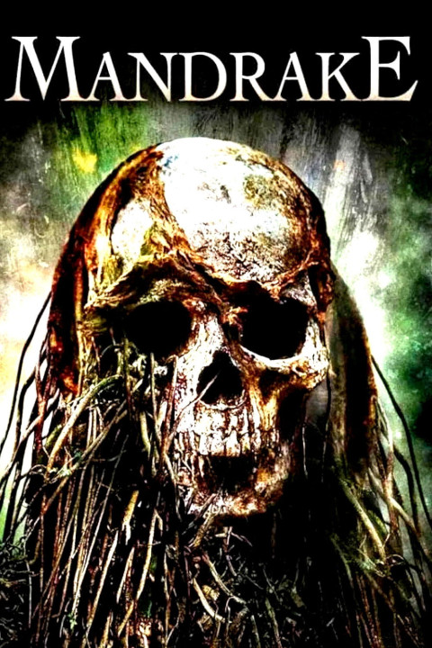 Mandragora
