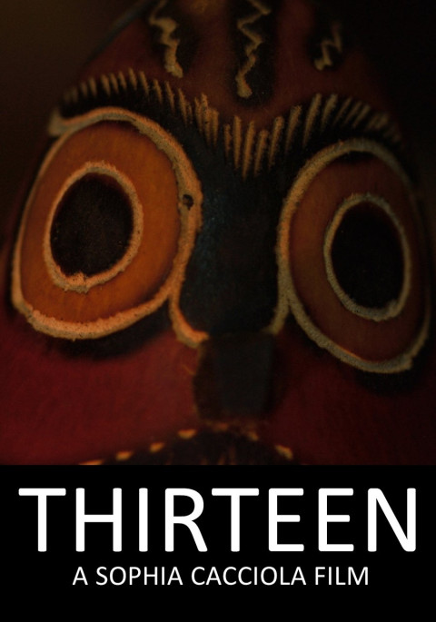 Thirteen (2016)