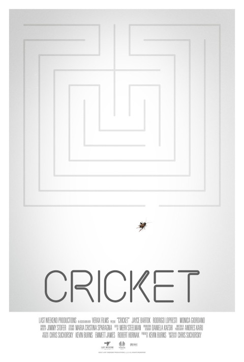 Cricket (2021)