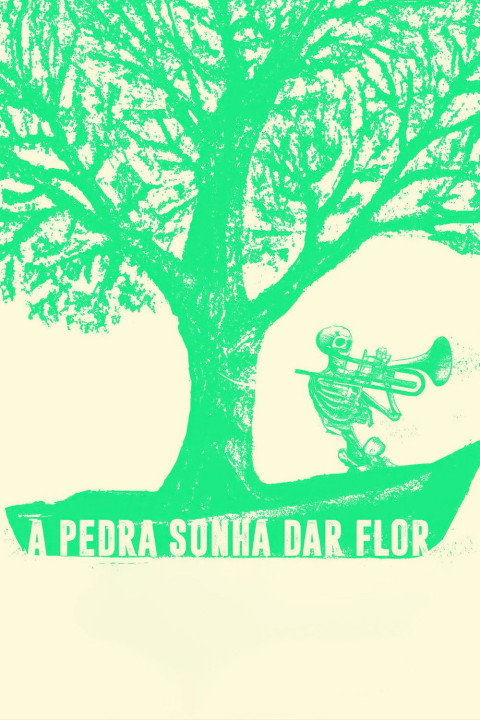 A Pedra Sonha Dar Flor (2024)