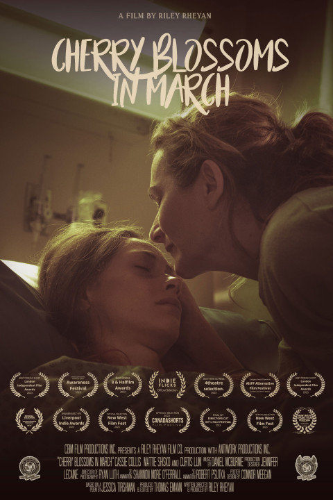 Cherry Blossoms in March (2024)