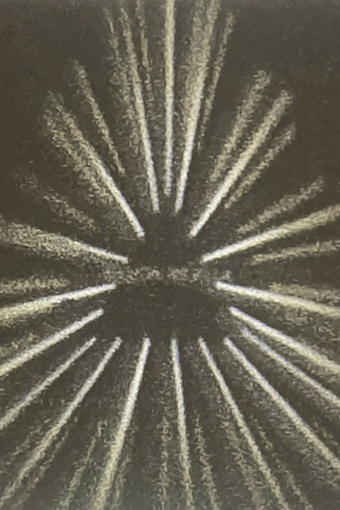 Stanislavski's Gun (2024)