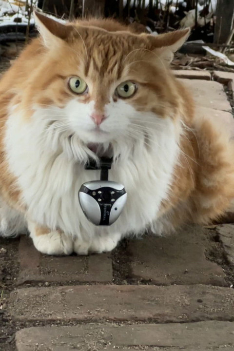 Must Have Meant (2024)