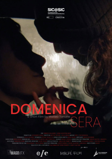 Domenica sera (2024)