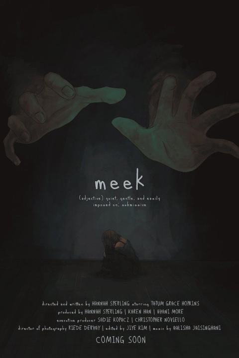 Meek (2024)