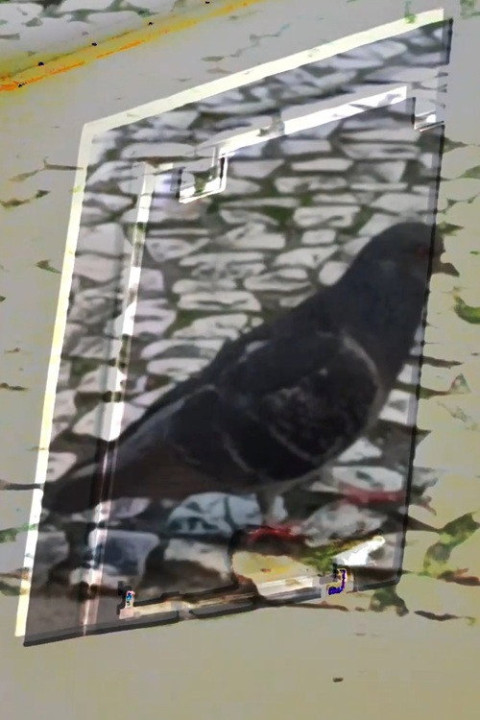 não tenho dormido muito mas continuo sonhando a cada piscada (2024)