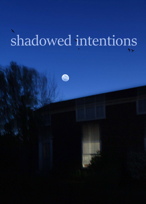 shadowed intentions (2024)