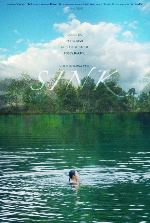 Sink (2024)
