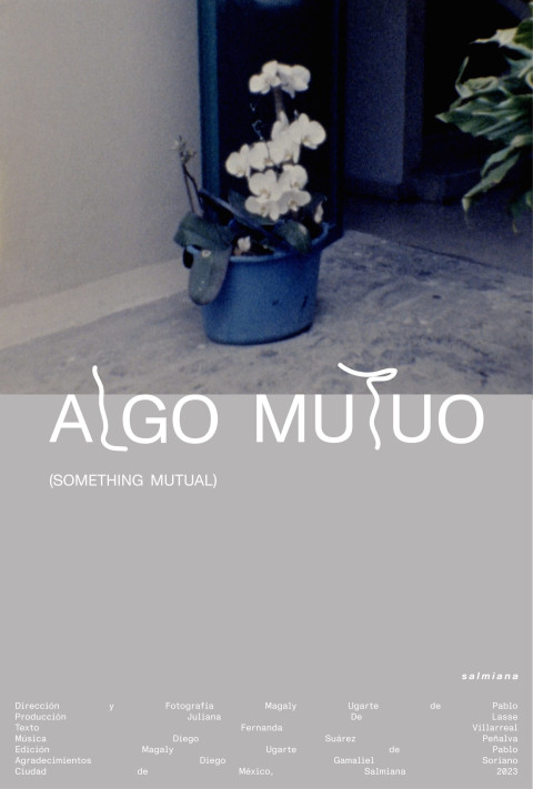 Algo mutuo (2024)