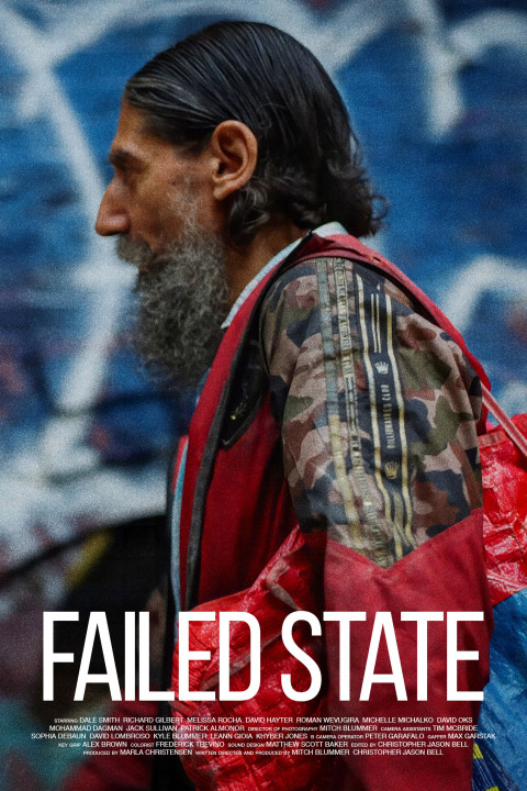 Failed State (2024)