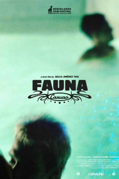 Fauna Caruao (2024)