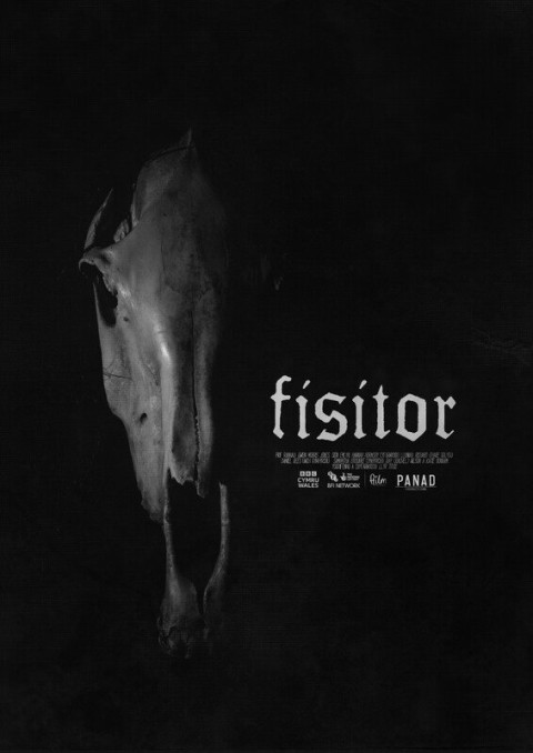 Fisitor (2024)