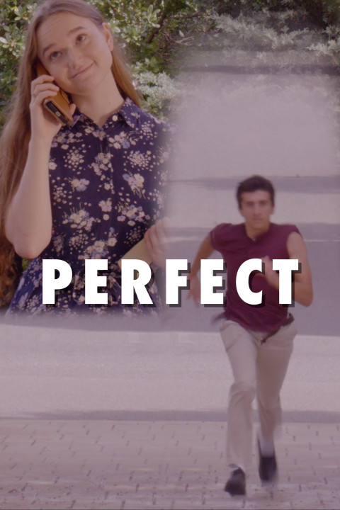Perfect (2024)