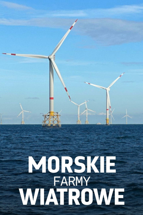 Windparks im Meer - Chance oder Risiko für die Natur? (2024)