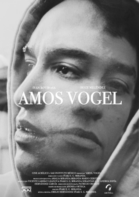 Amos, Vogel (2024)
