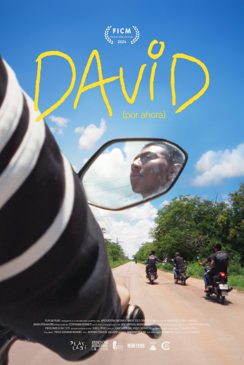 David (Por Ahora) (2024)