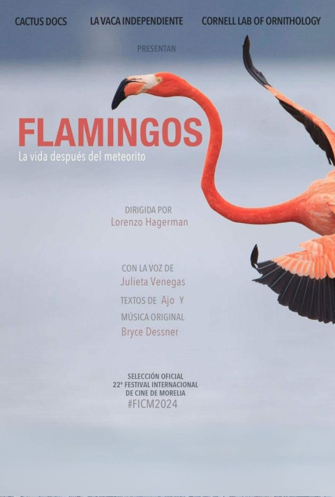 Flamingos (2024)