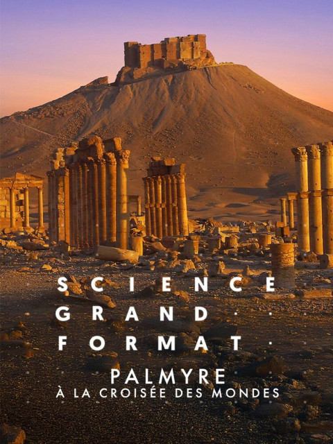 Palmyre, à la croisée des mondes (2024)