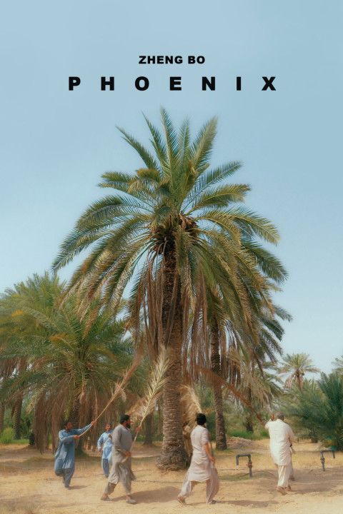 Phoenix+ (2024)