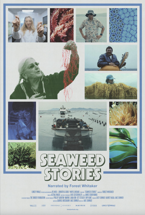 Seaweed Stories (2024)