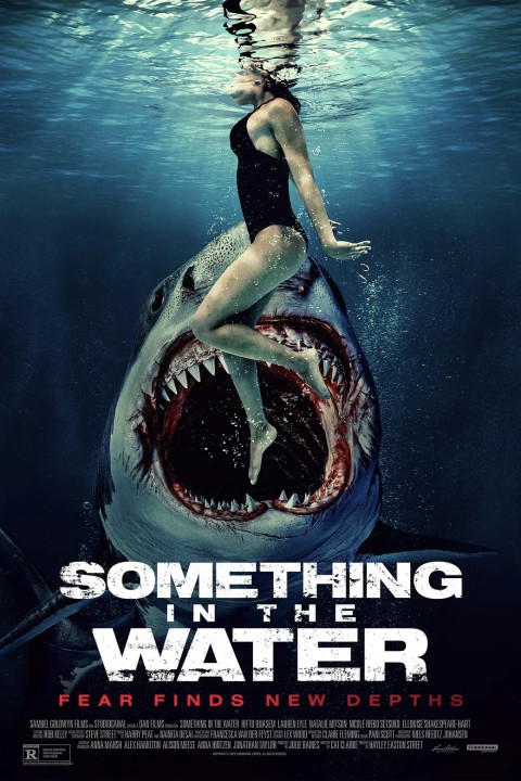 Something (2024)