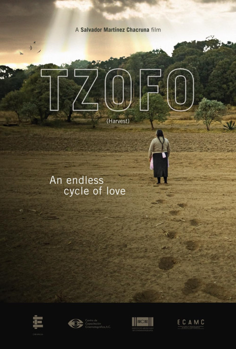 Tzofo (2024)