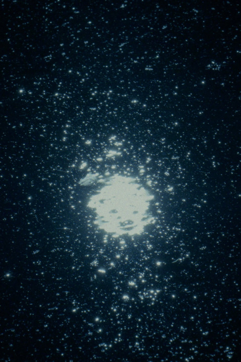 Fugue (2024)