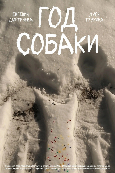 Год собаки (2024)