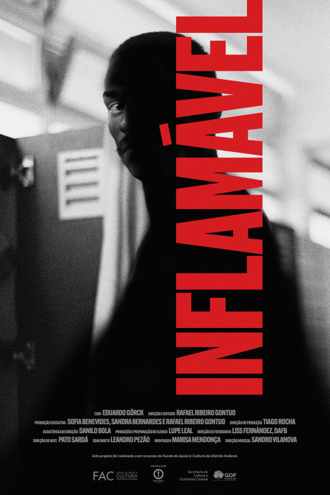 Inflamável (2024)