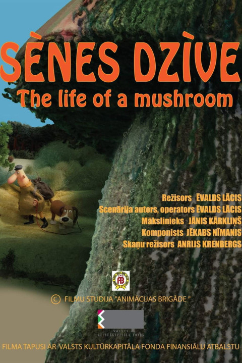 Sēnes dzīve (2024)