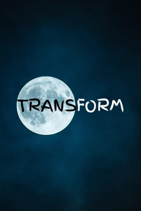 Transform (2024)