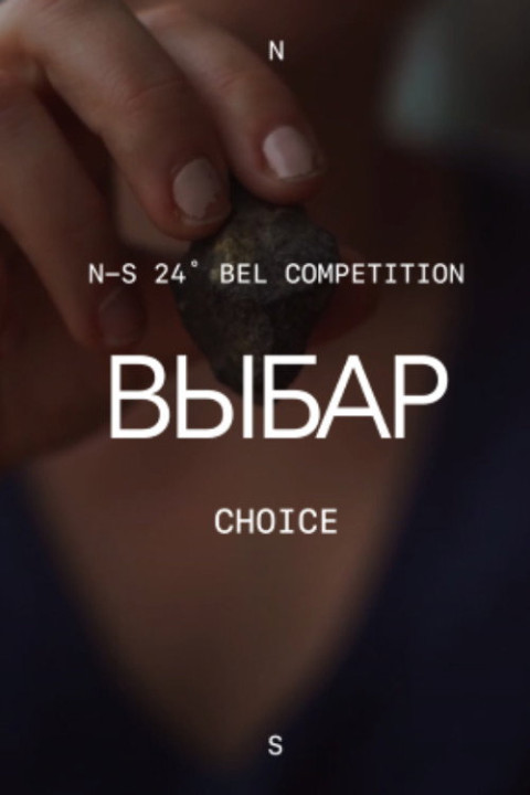 Выбар (2024)