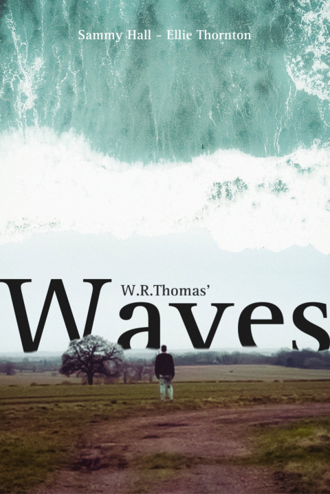 Waves (2024)