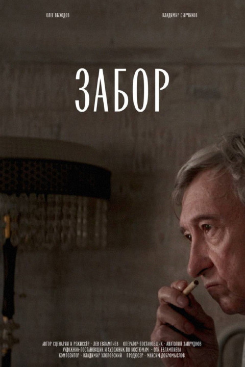 Забор (2024)