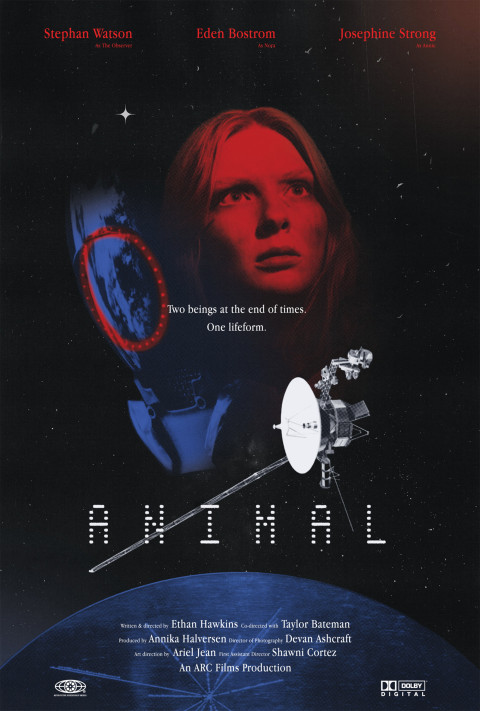 Animal (2024)