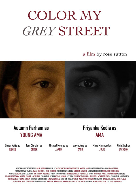 Color My Grey Street (2024)