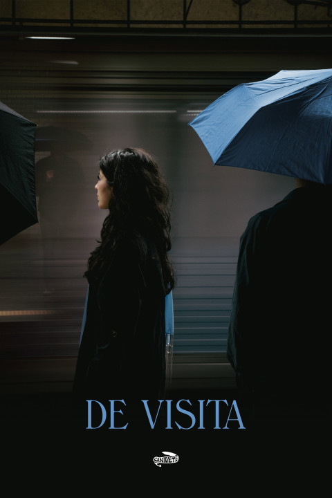 DE VISITA (2024)