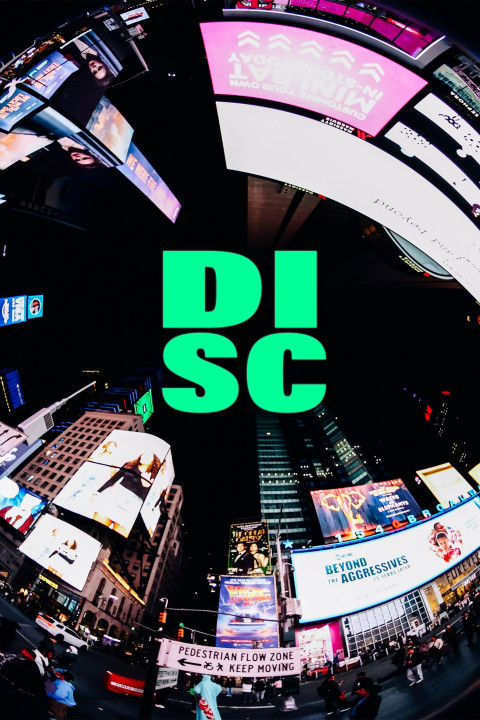 Disc (2024)