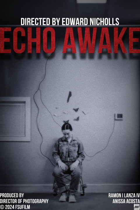 Echo Awake (2024)