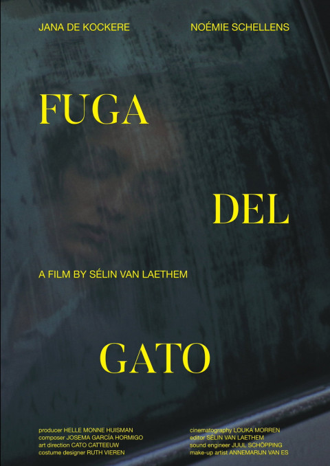 Fuga Del Gato (2024)