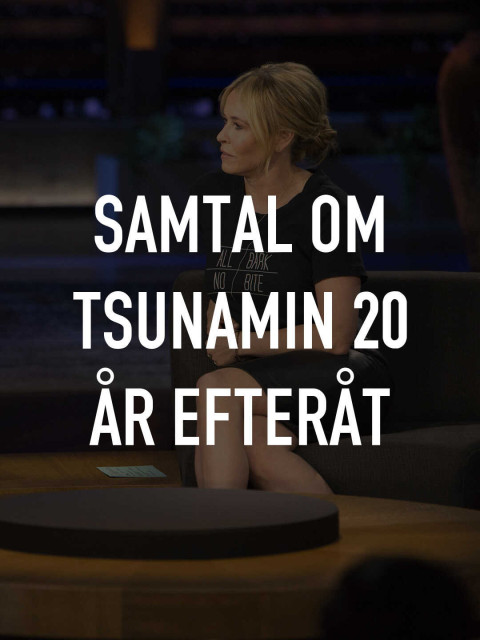 Samtal om tsunamin 20 år efteråt (2024)