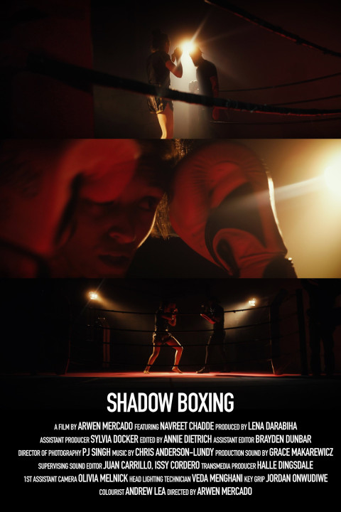Shadow Boxing (2024)