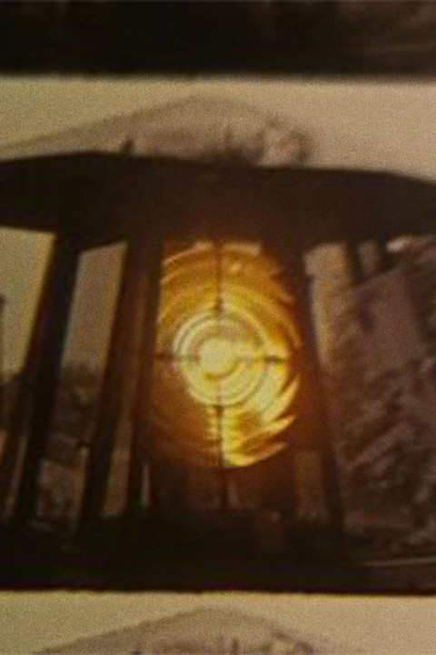 Signals (2024)