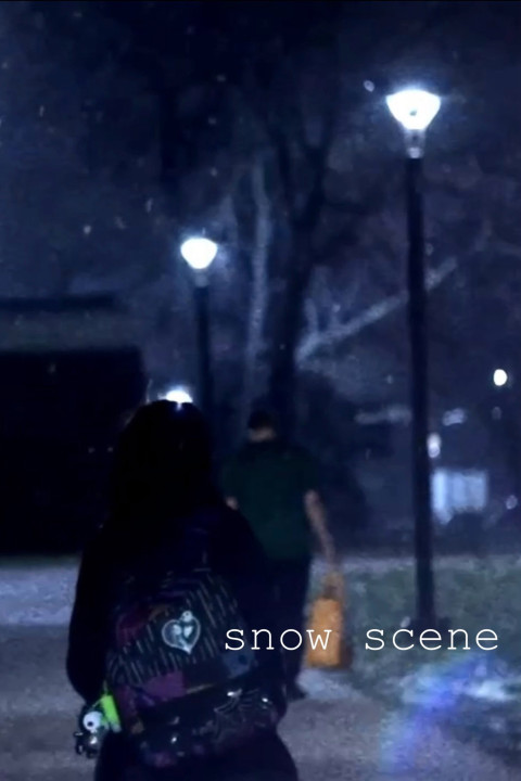 Snow Scene (2024)