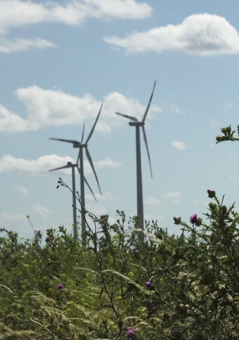 Windpark: Ein Lichtspiel bei Nacht (2024)