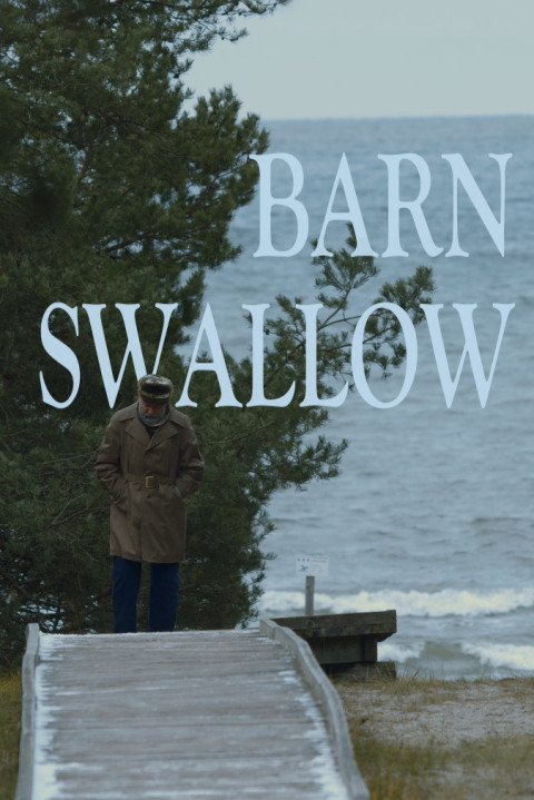 Barn Swallow (2025)
