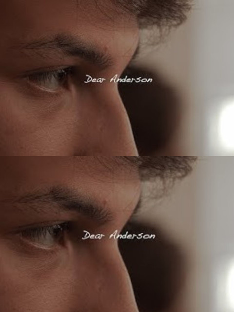 Dear Anderson (2025)